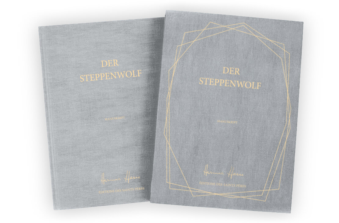 Der Steppenwolf von Hermann Hesse